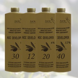 Noc Developer Noc Developer